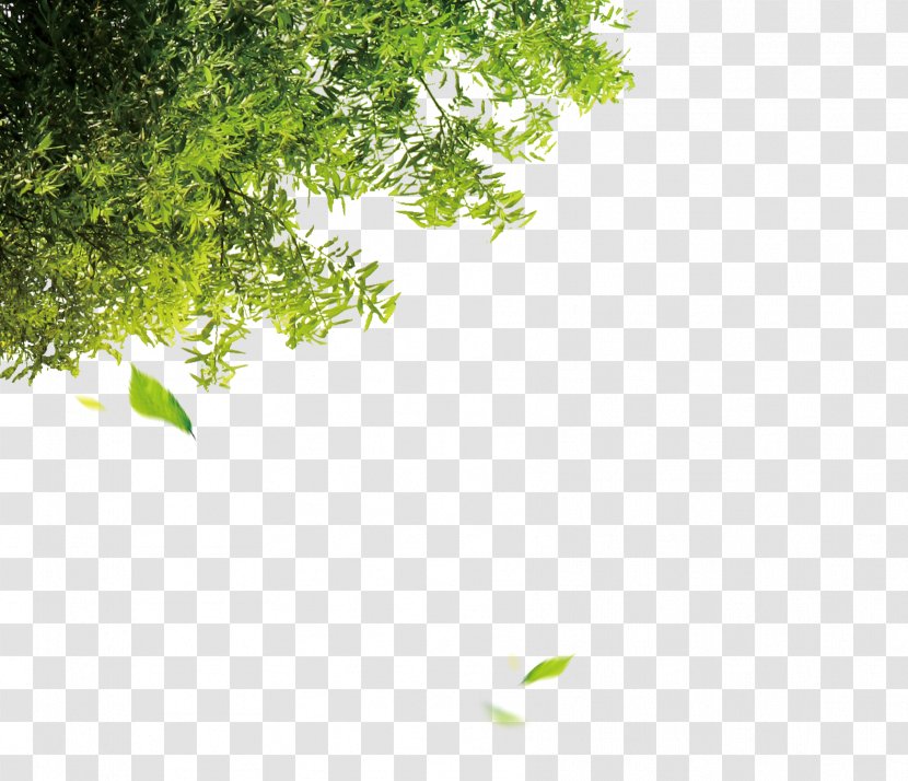 Tree Leaf Computer File - Christmas - Trees Transparent PNG