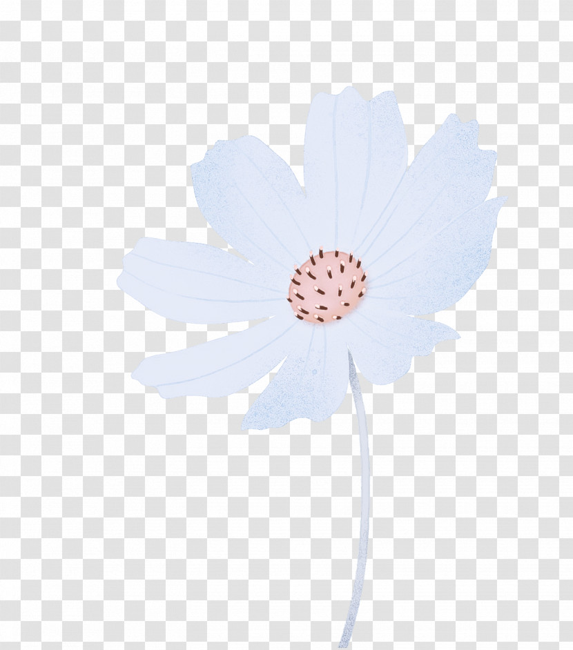 Transvaal Daisy Flower Petal Computer M Transparent PNG
