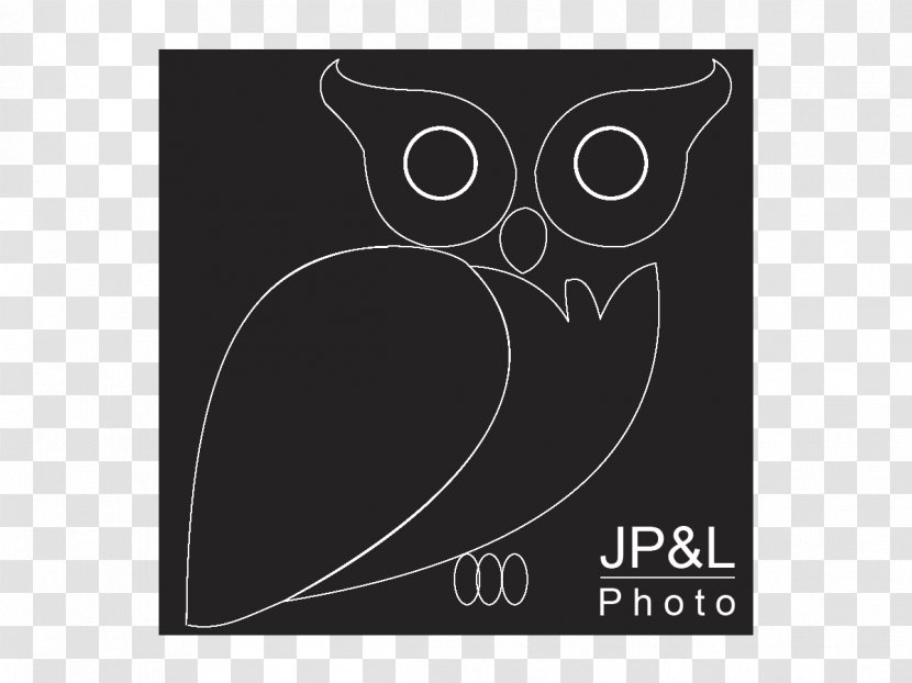 Owl Logo Brand Rectangle Font - Vertebrate Transparent PNG