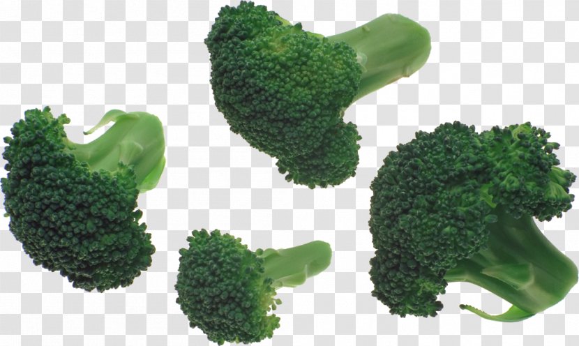 Broccoli Slaw Coleslaw - Leaf Vegetable Transparent PNG