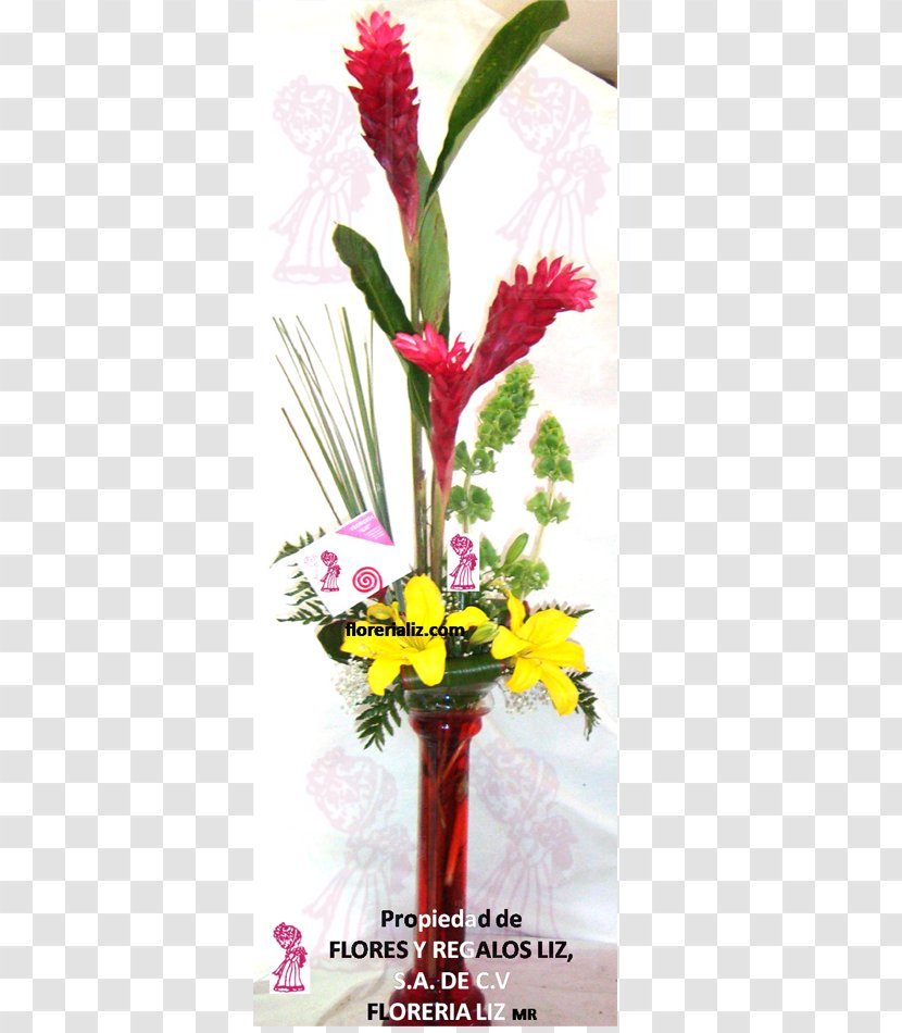 Floral Design Cut Flowers Vase - Plant Transparent PNG