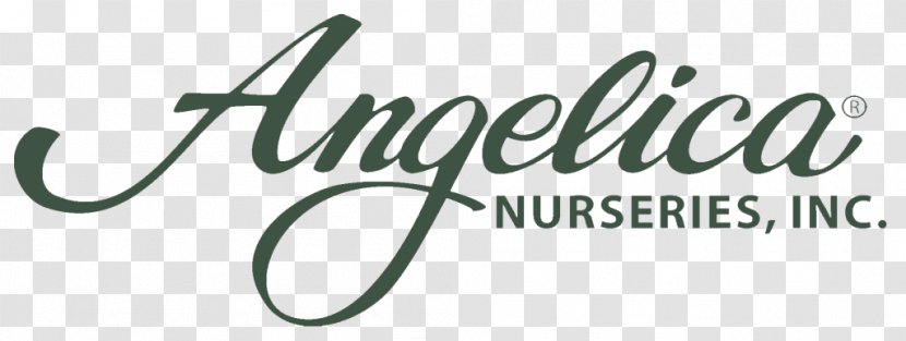 Angelica Nurseries Inc Logo Soil Real Estate Ariyana SmartCondotel Nha Trang - Text Transparent PNG