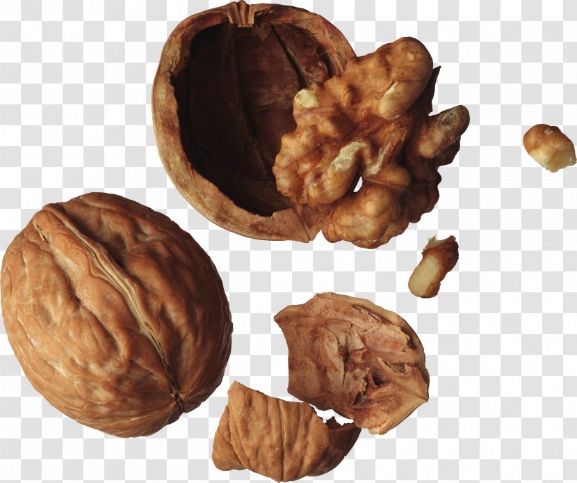 Nucule English Walnut Peanut - Hypercholesterolemia Transparent PNG