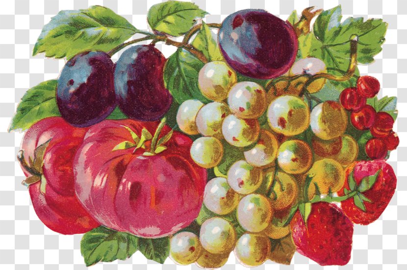 Full-Color Fruits And Flowers Illustrations Berries Grape Clip Art - Frutti Di Bosco Transparent PNG