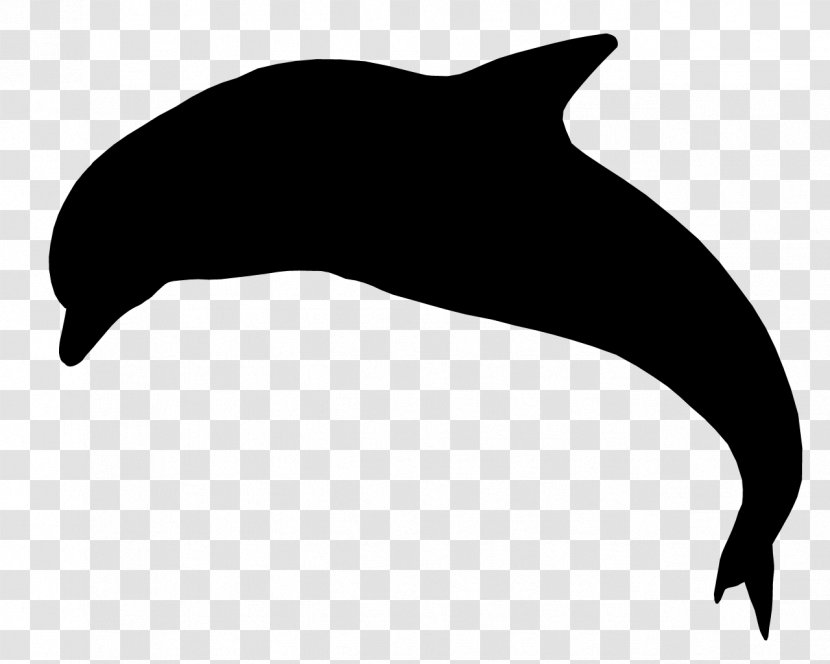 Dolphin Sea Lion Porpoise Whales Clip Art - Fauna Transparent PNG