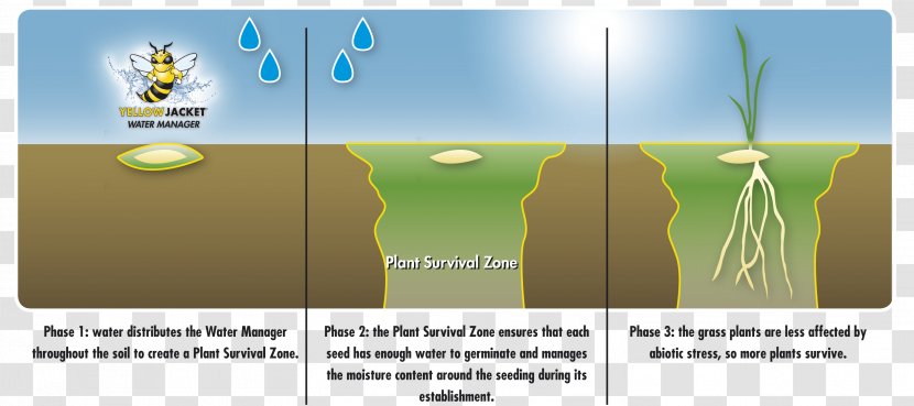 Water Resource Management Executive Manager Seed Enhancement Technology Transparent PNG