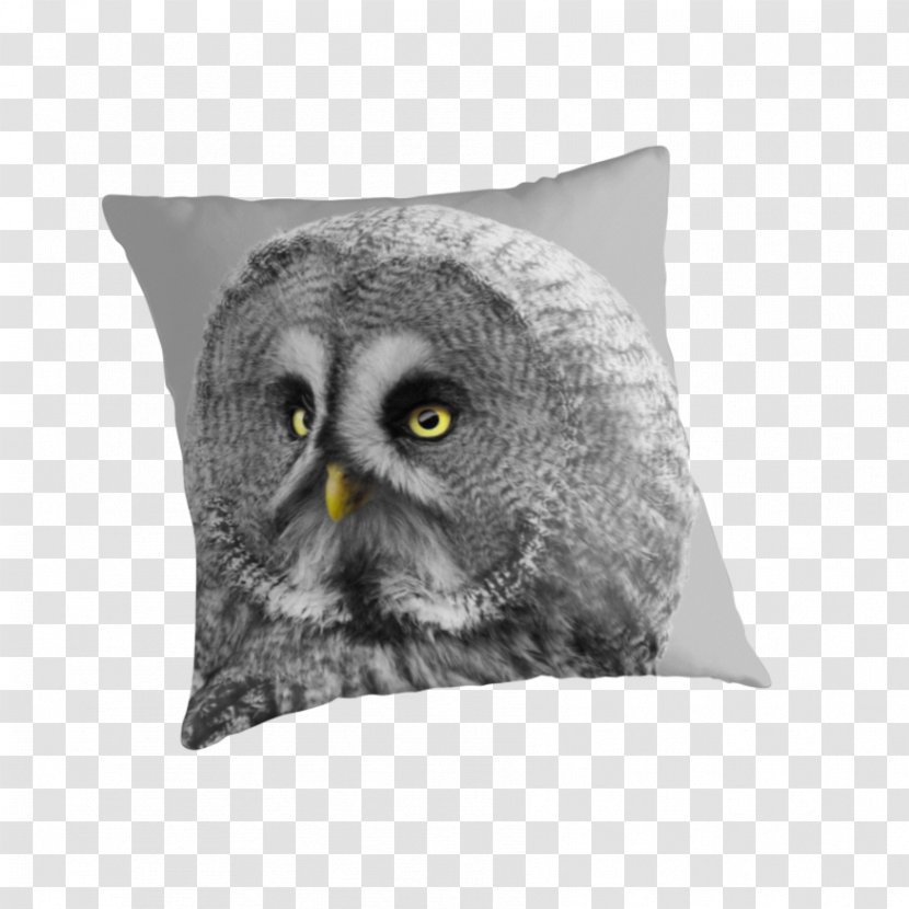 Owl Throw Pillows Cushion Beak Snout - Bird Of Prey - Great Grey Transparent PNG