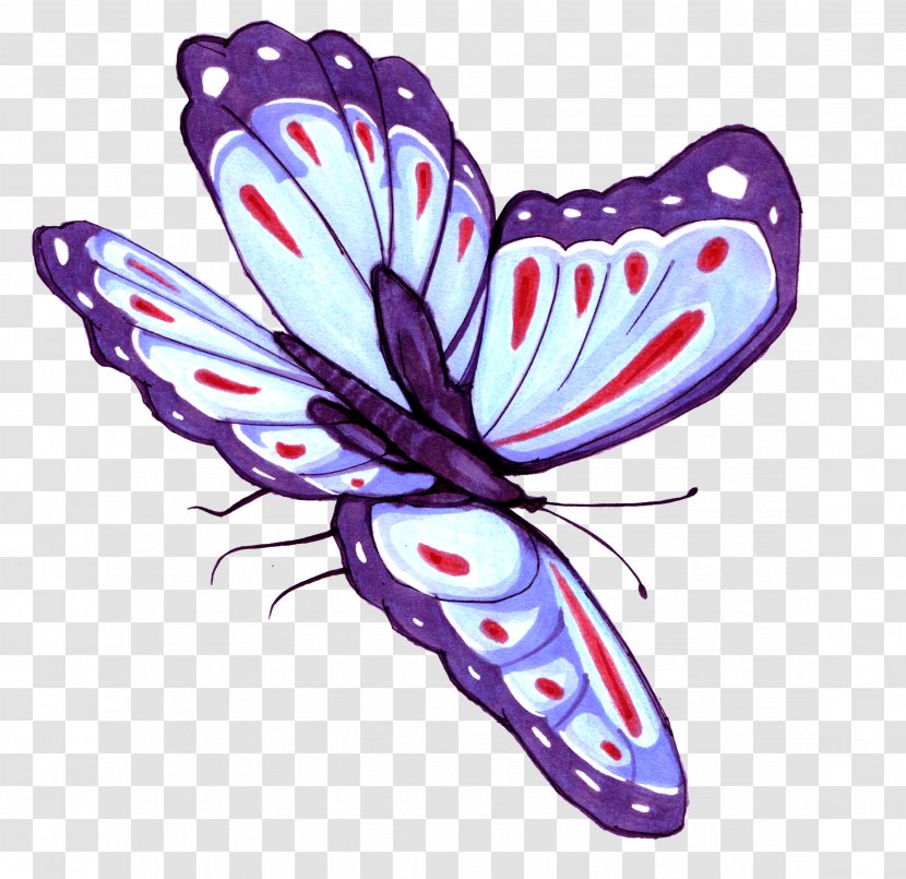 Butterfly Purple Violet - Vecteur - Hand-painted Transparent PNG