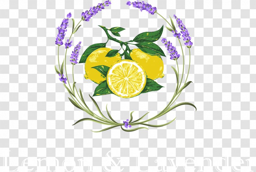Lemon & Lavender Flower Vector Graphics Clip Art - Botanical Illustration - Clipart Transparent PNG