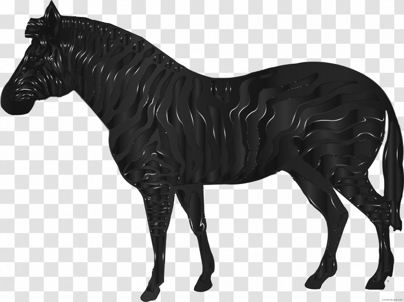 Horse Quagga Okapi Zebra Transparent PNG