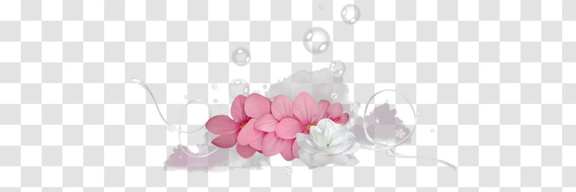 Floral Design Blog Photography - February - White Transparent PNG