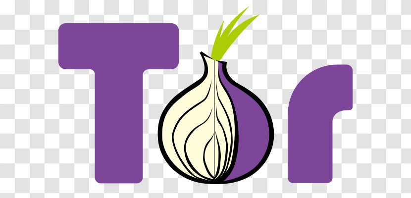 Tor Onion Routing Router .onion Anonymity - Web Browser Transparent PNG