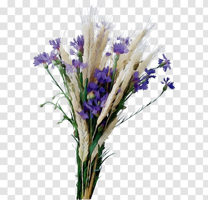 Lavender - English - Grass Transparent PNG