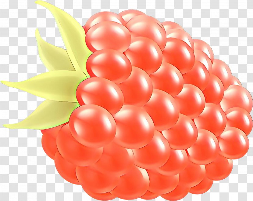 Pink Berry Balloon Fruit Seedless - Food Plant Transparent PNG