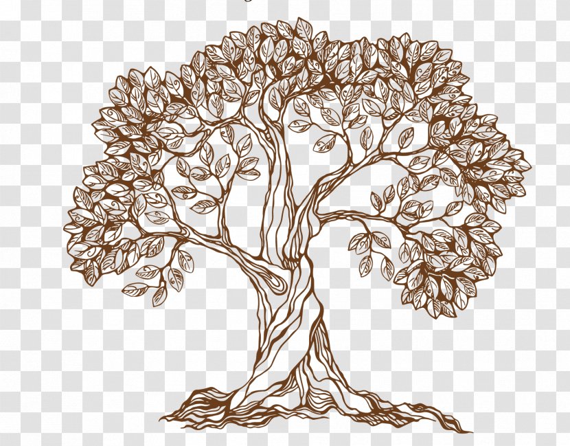 Drawing Royalty-free Tree - Photography - Hand Drawn Transparent PNG