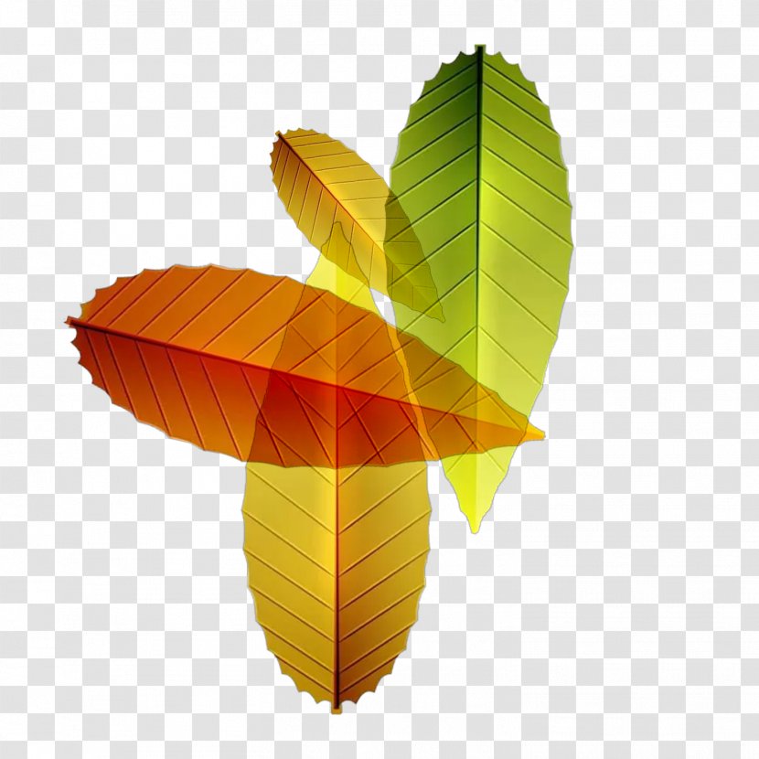 Leaf El Otoo Autumn - Leaves Transparent PNG