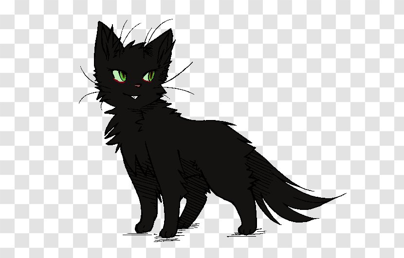Black Cat Kitten Whiskers Domestic Short-haired - Shorthaired - Hollyleaf Transparent PNG