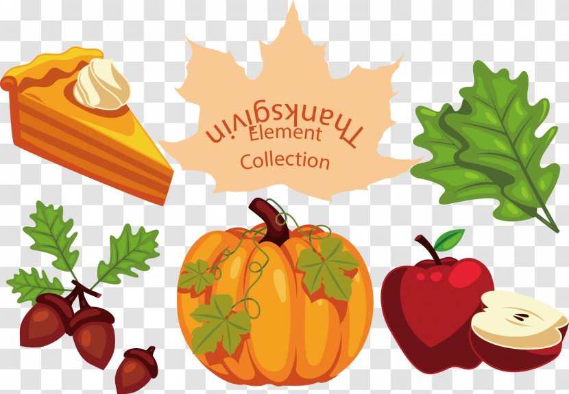 Thanksgiving Turkey Pumpkin Download - Auglis - Vector Painted And Hazelnut Leaves Transparent PNG