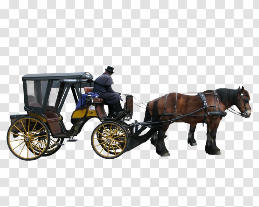 Carriage Litter Horse-drawn Vehicle - Chariot - P Transparent PNG
