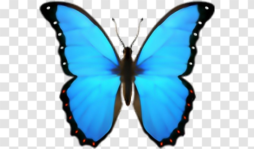 Butterfly Emoji Domain IPhone IOS - Moths And Butterflies Transparent PNG