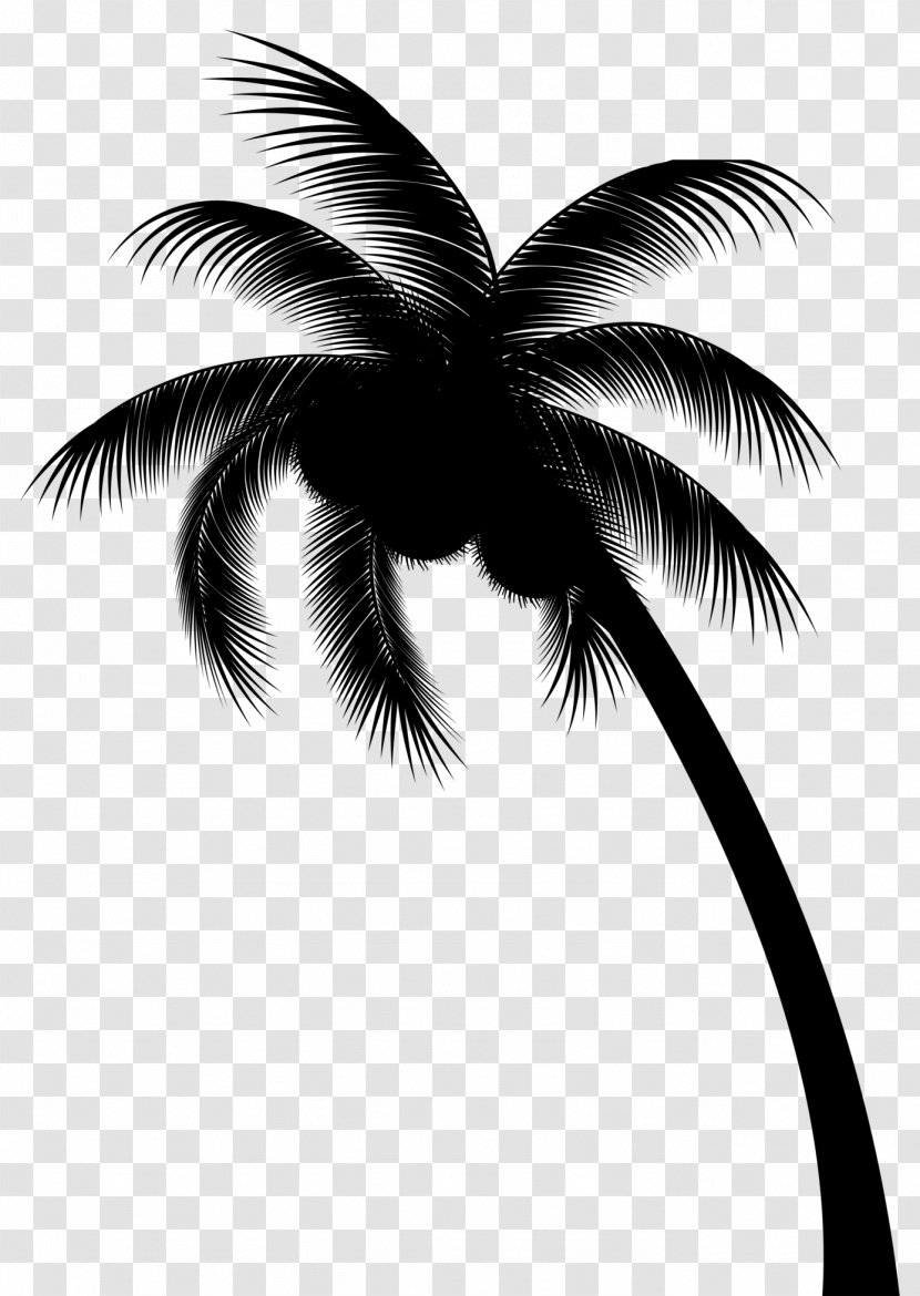 Palm Trees Coconut Field Day Inc Clip Art - Monochrome - Sky Transparent PNG