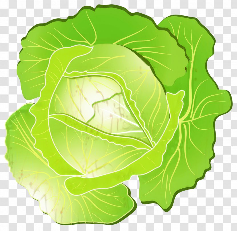 Green Leaf Background - Wild Cabbage - Brassica Food Transparent PNG