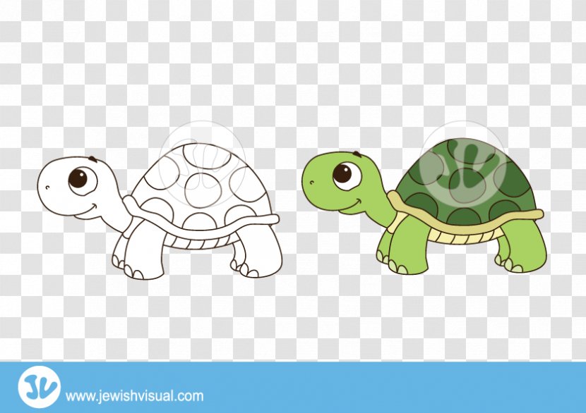 Tortoise Turtle Clip Art - Green Sea - Discounts Vector Transparent PNG