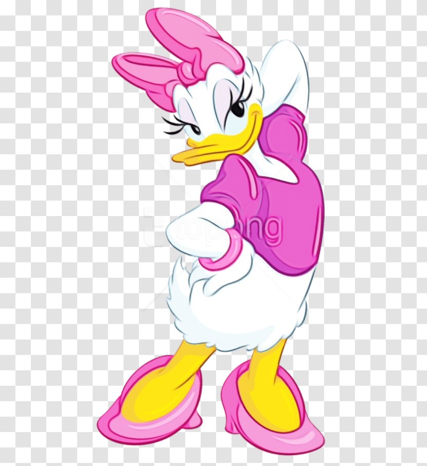Daisy Duck Donald Minnie Mouse - Beak - Water Bird Transparent PNG