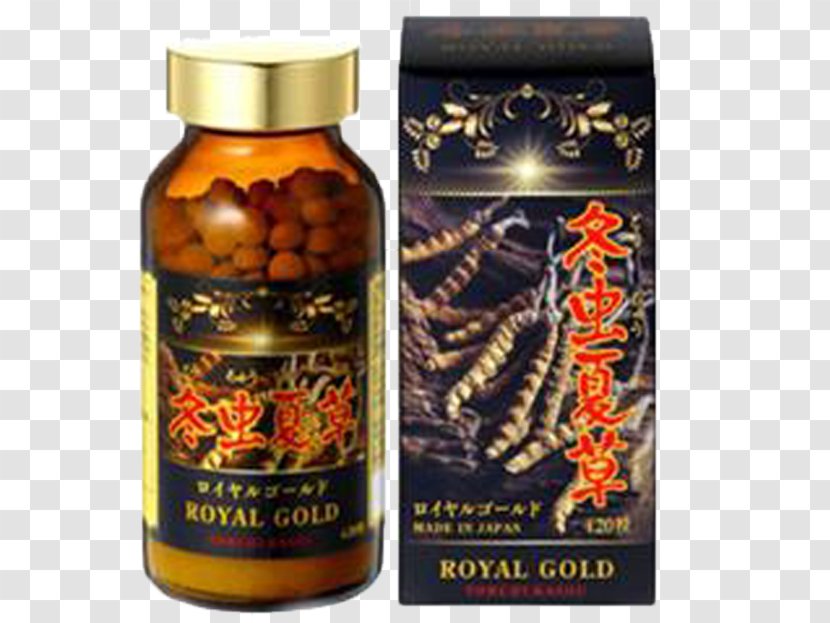 Japan Caterpillar Fungus Cordyceps Food - Vitamin Transparent PNG