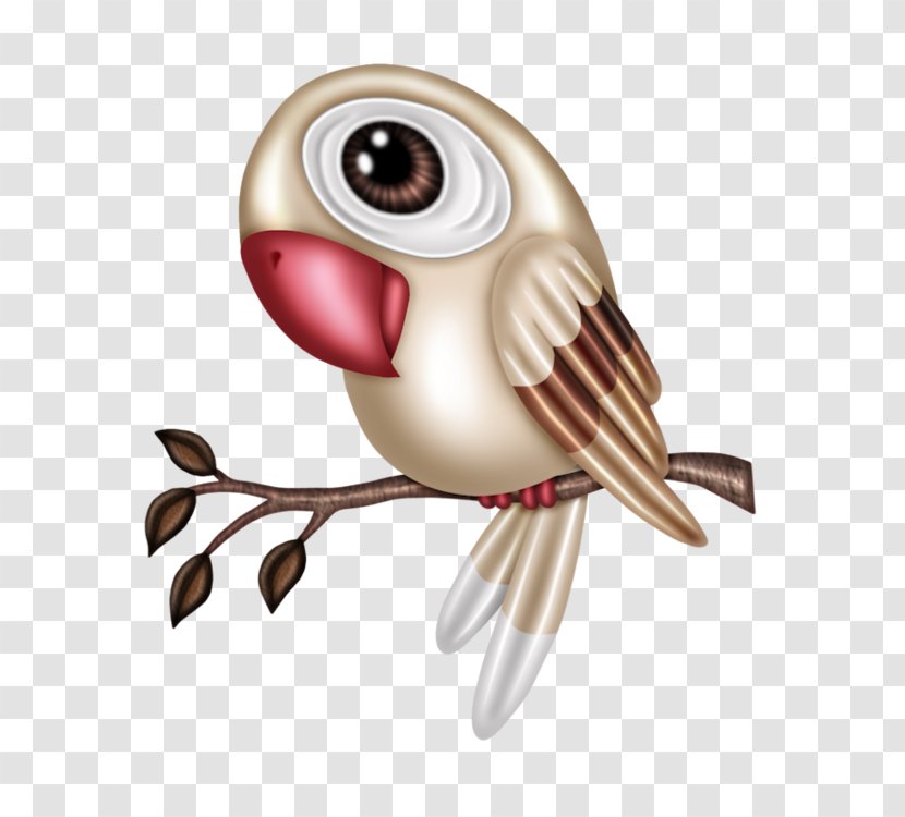 Owl Bird Parrot T-shirt Clip Art - Cartoon - Branches On The Transparent PNG