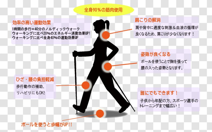 Nordic Walking Skiing Sport 少年団 - Aed Transparent PNG