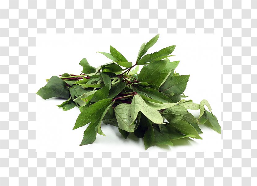 Gongura Indian Cuisine Leaf Vegetable Coriander Telugu - Grocery Store Transparent PNG