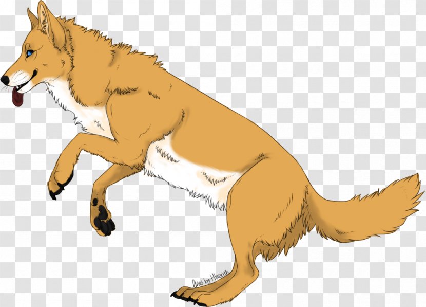 Red Fox Dog Drawing DeviantArt - Line Art Transparent PNG