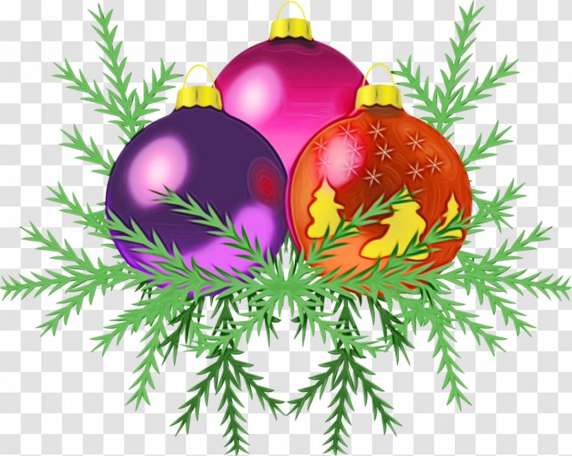 Christmas Ornament - Conifer Tree Transparent PNG