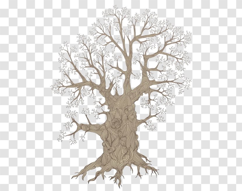 Root Tree Royalty-free - Royaltyfree Transparent PNG
