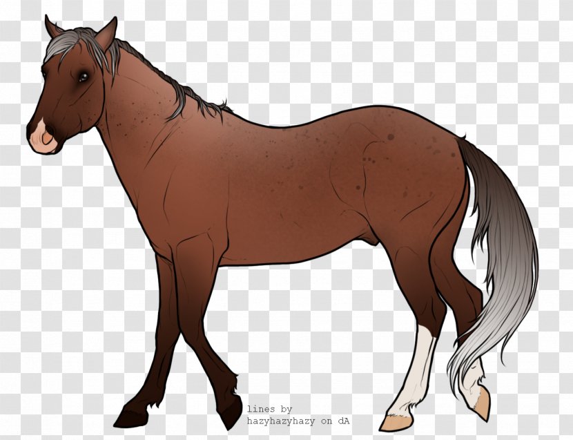 Foal Mane Stallion Mare Mustang - Rhubarb Dog Transparent PNG