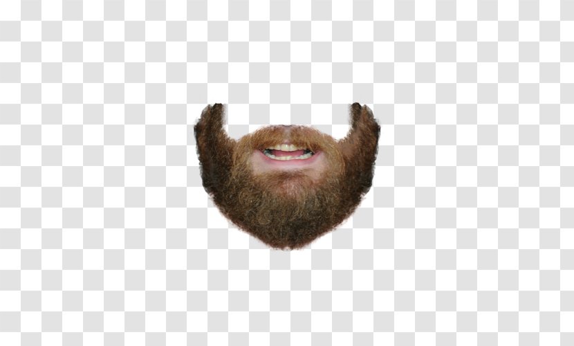 World Beard And Moustache Championships - Mouth - Bearded Pictures Transparent PNG