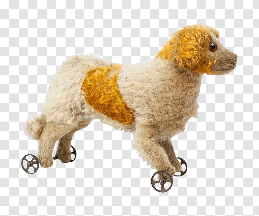 Standard Poodle Miniature Dog Breed Companion Transparent PNG