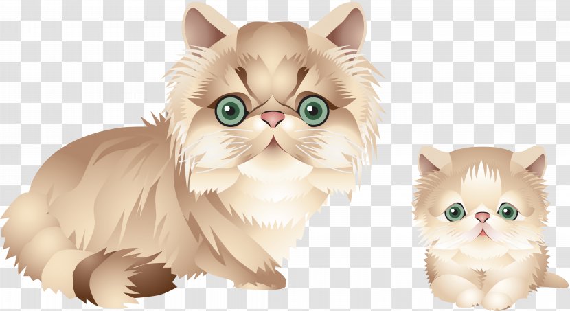 Kitten Persian Cat Exotic Shorthair Tabby Vector - Fur - Cats Transparent PNG
