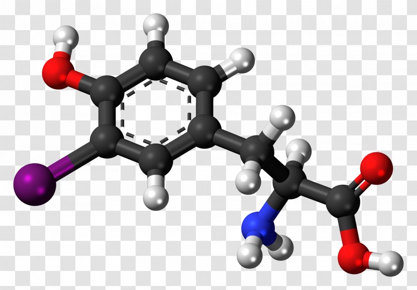 Tyrosine Reverse Triiodothyronine Norepinephrine Amino Acid - Thyroxine - Molecule Transparent PNG