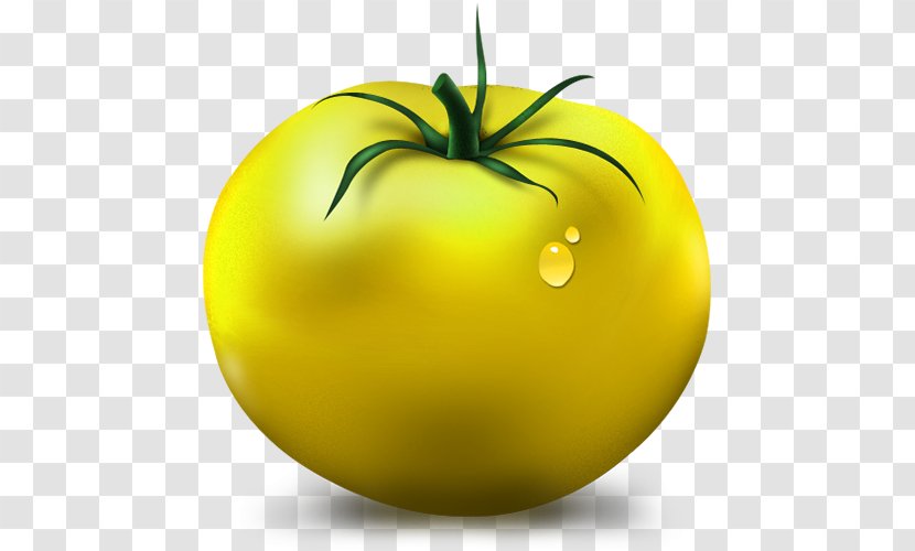 WaterBall Tomato Tomatillo - Waterball - Green Tomatoes Transparent PNG