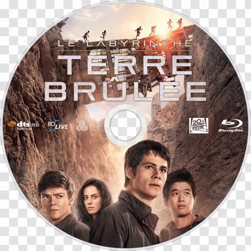 Maze Runner: The Scorch Trials Runner Rosa Salazar Thomas Brodie-Sangster - Poster - United States Transparent PNG