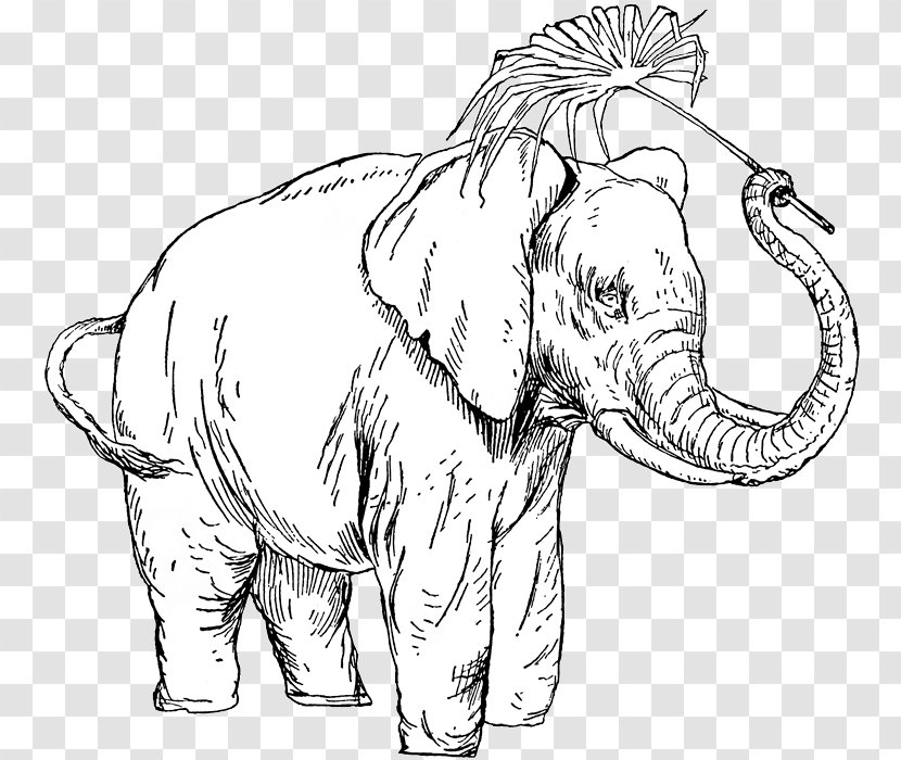 Indian Elephant African Line Art Drawing - People With Animals Transparent PNG
