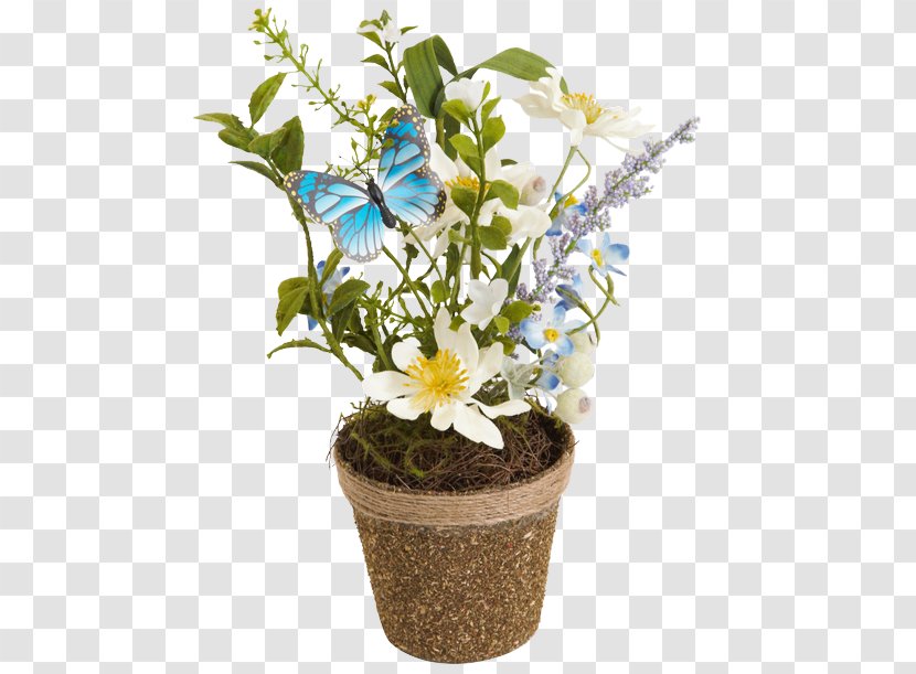 Flower Flowering Plant Flowerpot Houseplant - Dendrobium Bouquet Transparent PNG