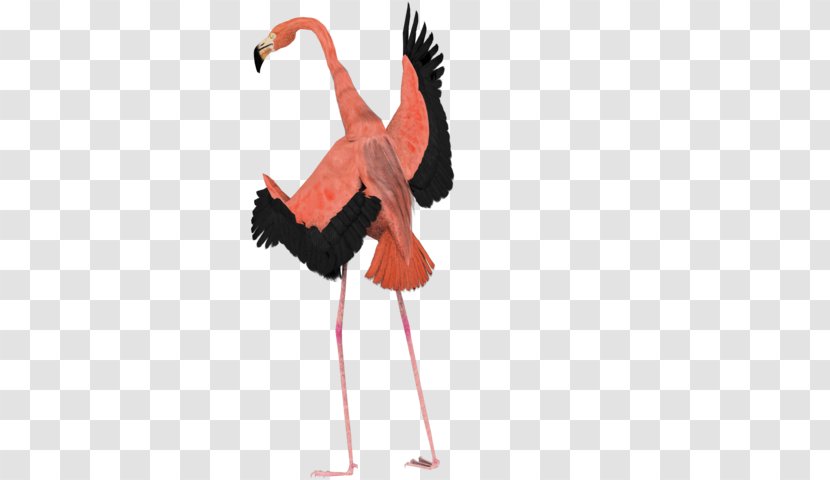Bird Flamingo YouTube Art - Free Patch Transparent PNG
