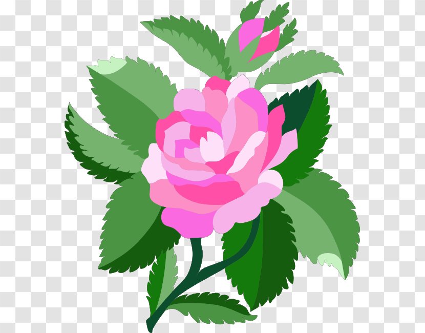 Damask Rose Clip Art - Order - Baby Roses Cliparts Transparent PNG