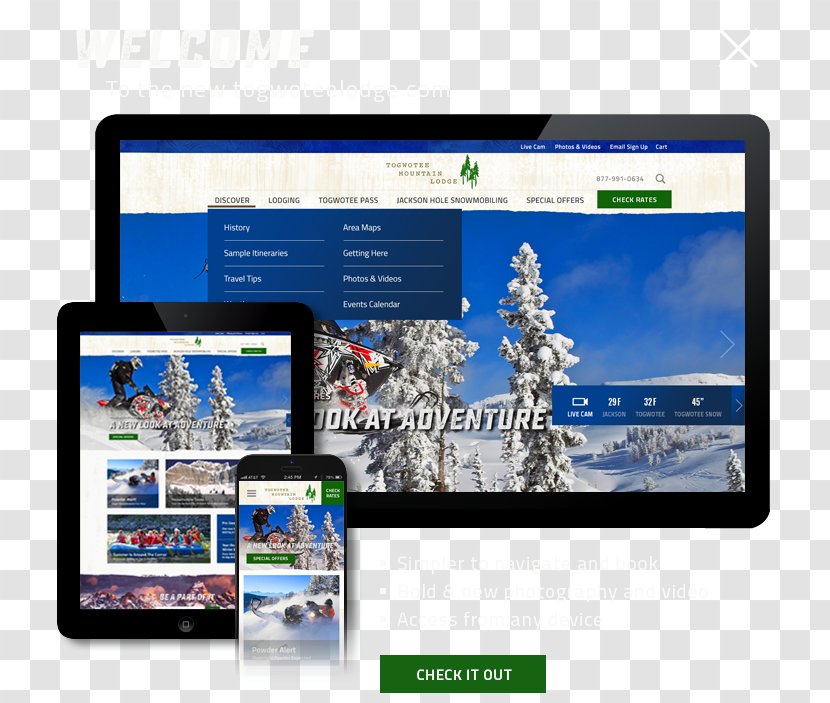 Computer Monitors Multimedia Display Advertising Brand - Jackson Hole Lodge Transparent PNG