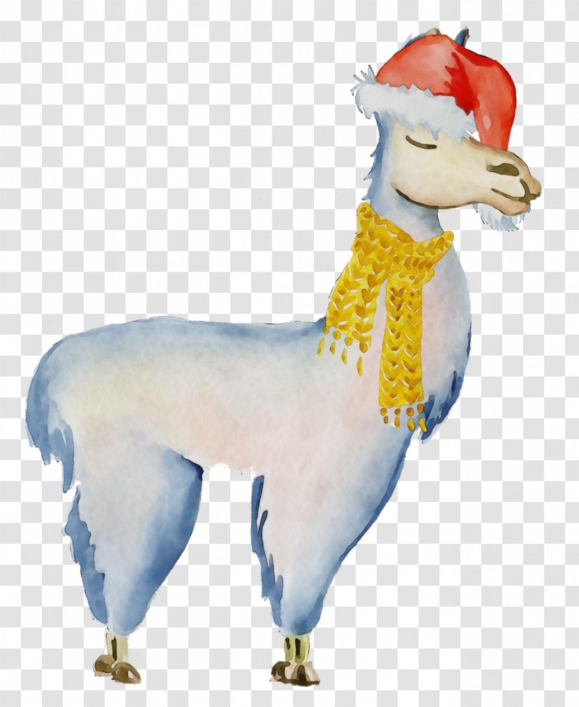 Llama - Animal Figure - Livestock Tail Transparent PNG
