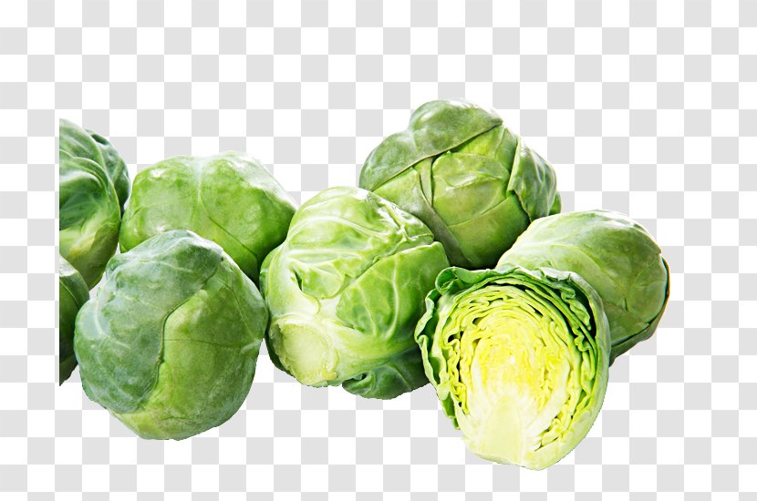 Brussels Sprout Collard Greens Capitata Group Spring Leaf Vegetable - Romaine Lettuce - Sprouts Transparent PNG