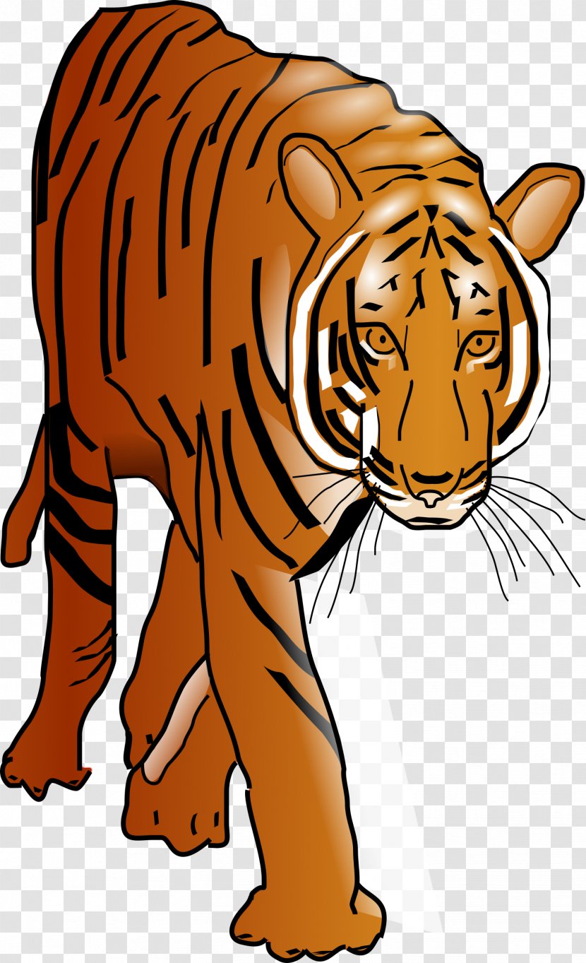 Lion Bengal Tiger Clip Art - Big Cats Transparent PNG